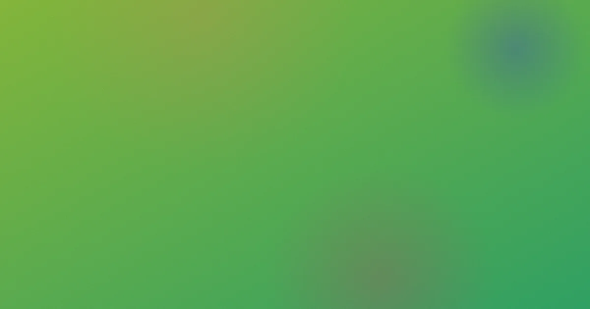 zw视频是什么：逐项讲清